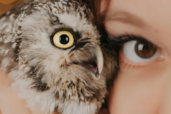 بيت إيت آل كازينو الدعم